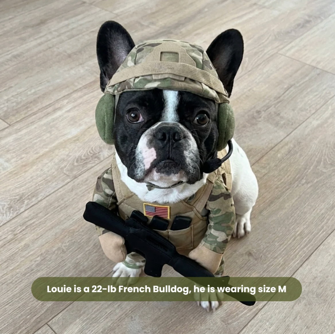 Doggy Soldier Outfit